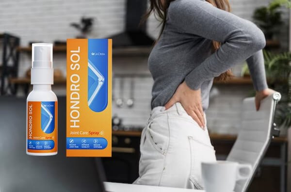 Overview of hondro sol