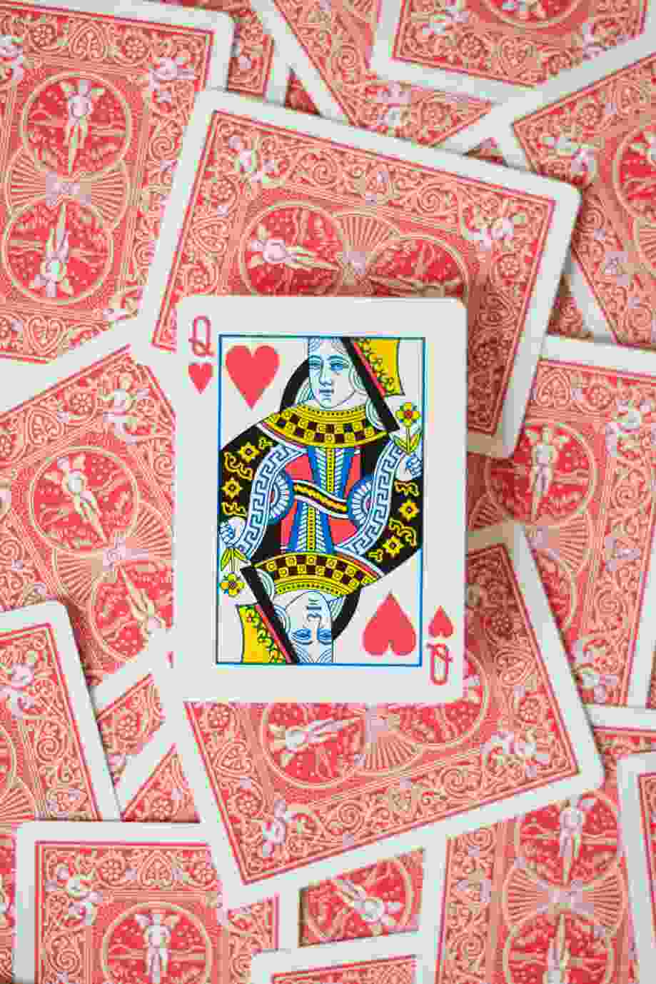 maximal wins casino 2026